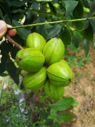 <b>正能传给下一代的‘传家宝’</b>